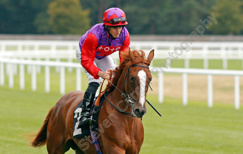 Ezasque-0001 
 EZASQUE (Ryan Moore)
Ascot 25 Jul 2020 - Pic Steven Cargill / Racingfotos.com