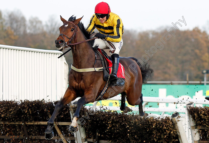 Castelfort-0003 
 CASTELFORT (David Noonan) wins The betting.betfair.com Introductory Juvenile Hurdle
Sandown 8 Dec 2023 - pic Steven Cargill / Racingfotos.com