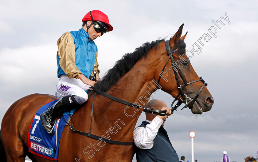 Gregory-0004 
 GREGORY (Kieran Shoemark)
Doncaster 16 Sep 2023 - Pic Steven Cargill / Racingfotos.com