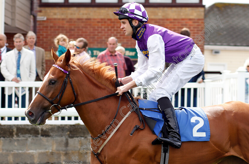 Canavese-0001 
 CANAVESE (Charles Bishop) 
Salisbury 16 Aug 2018 - Pic Steven Cargill / Racingfotos.com