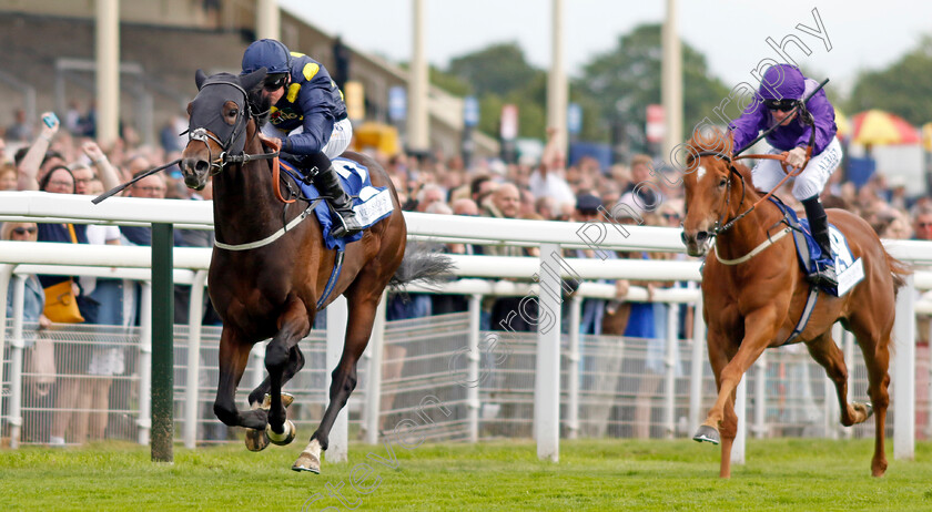 Harry-Three-0004 
 HARRY THREE (Ryan Moore) wins The Pavers Foundation Catherine Memorial Sprint
York 11 Jun 2022 - Pic Steven Cargill / Racingfotos.com