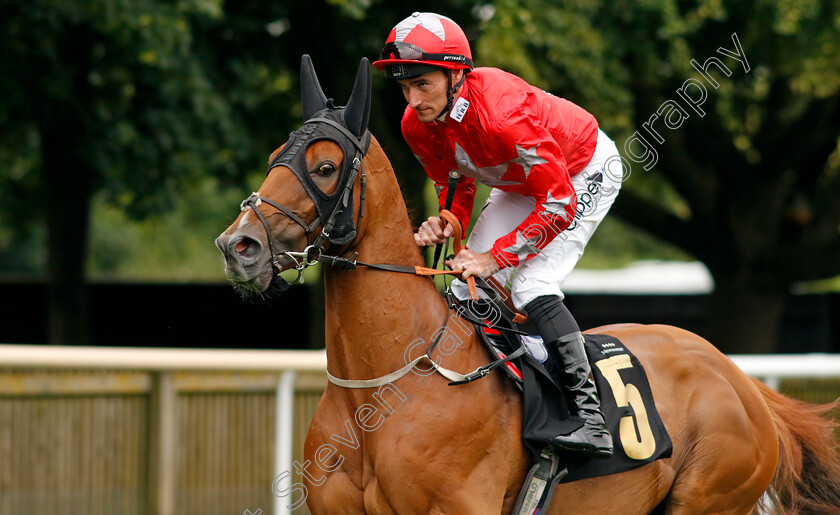 Alzahir-0002 
 ALZAHIR (Daniel Tudhope)
Newmarket 10 Aug 2024 - Pic Steven Cargill / Racingfotos.com