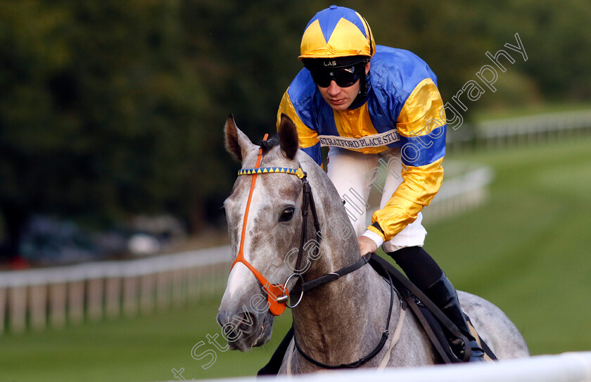 Cabinet-Of-Clowns-0001 
 CABINET OF CLOWNS (Charles Bishop)
Newmarket 4 Aug 2023 - Pic Steven Cargill / Racingfotos.com