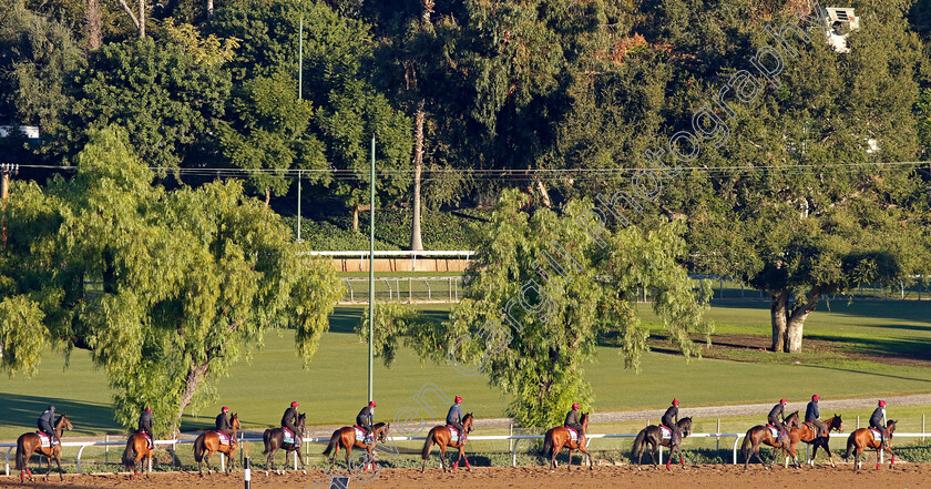 Aidan-O Brien-string-0001 
 Aidan O'Brien string training at The Breeders' Cup
Santa Anita USA, 31 October 2023 - Pic Steven Cargill / Racingfotos.com