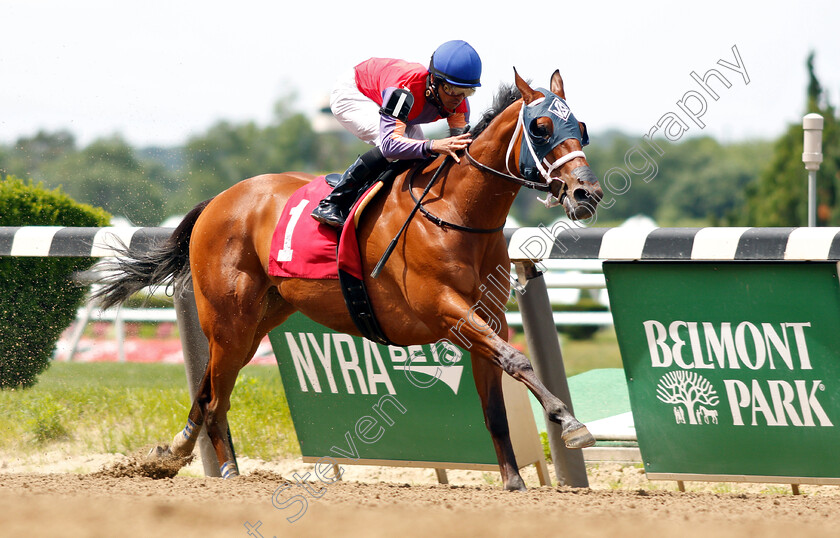 H-Man-0006 
 H MAN (Jose Lezcano) wins Allowance
Belmont Park USA 7 Jun 2019 - Pic Steven Cargill / Racingfotos.com