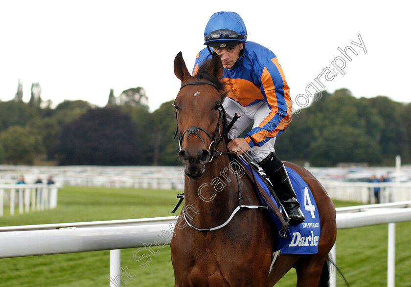 Bye-Bye-Baby-0001 
 BYE BYE BABY (Wayne Lordan)
York 23 Aug 2018 - Pic Steven Cargill / Racingfotos.com