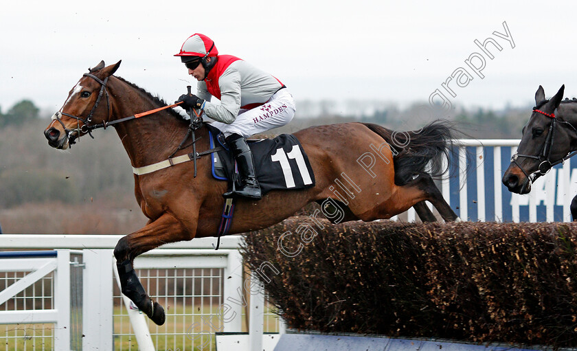 Red-Devil-Star-0001 
 RED DEVIL STAR (Jack Sherwood) Ascot 23 Dec 2017 - Pic Steven Cargill / Racingfotos.com