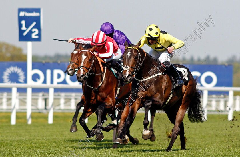 Cold-Case-0004 
 COLD CASE (right, Clifford Lee) beats BRADSELL (left) in The British Racing School 40th Anniversary Commonwealth Cup Trial Stakes
Ascot 3 May 2023 - Pic Steven Cargill / Racingfotos.com