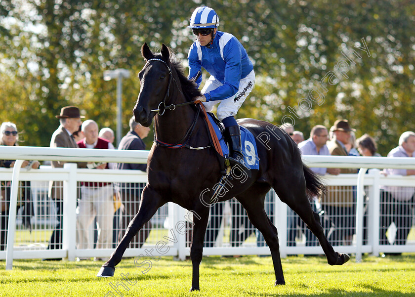 Nassam-0002 
 NASSAM (Jim Crowley)
Salisbury 3 Oct 2018 - Pic Steven Cargill / Racingfotos.com