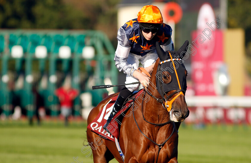 Rouge-Sellier-0002 
 ROUGE SELLIER (Luke Morris)
Longchamp 5 Oct 2034 - Pic Steven Cargill / Racingfotos.com