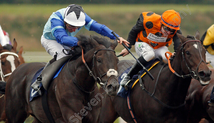 Bobby-Biscuit-0004 
 BOBBY BISCUIT (left, John Egan) beats DELICATE KISS (right) in The Download The Star Sports App Now! Handicap
Lingfield 3 Oct 2019 - Pic Steven Cargill / Racingfotos.com