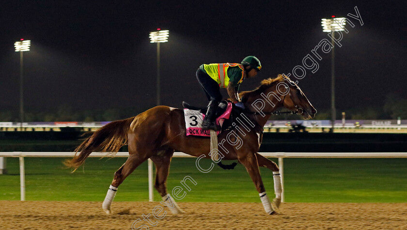 Rock-Walk-0001 
 ROCK WALK training for The UAE Derby
Meydan Dubai 26 Mar 2024 - Pic Steven Cargill / Racingfotos.com