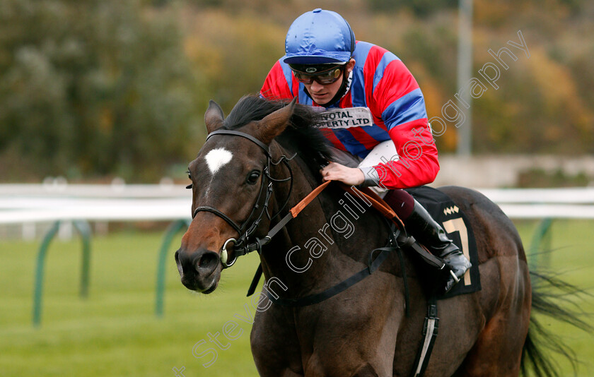 Land-Of-Winter-0005 
 LAND OF WINTER (Rob Hornby) wins The Play 3-2-Win At Mansionbet Handicap
Nottingham 28 Oct 2020 - Pic Steven Cargill / Racingfotos.com