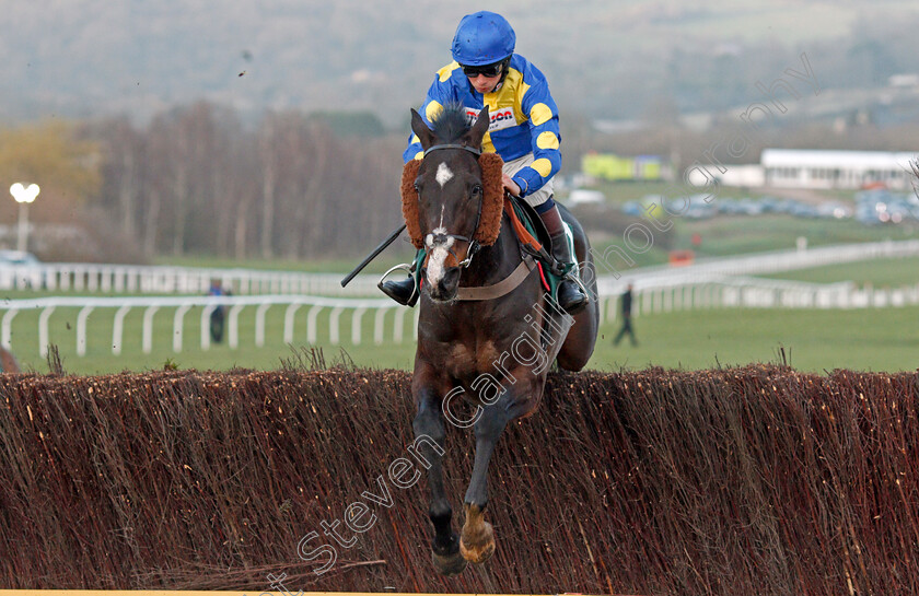 Coup-De-Pinceau-0001 
 COUP DE PINCEAU (Angus Cheleda)
Cheltenham 12 Mar 2020 - Pic Steven Cargill / Racingfotos.com