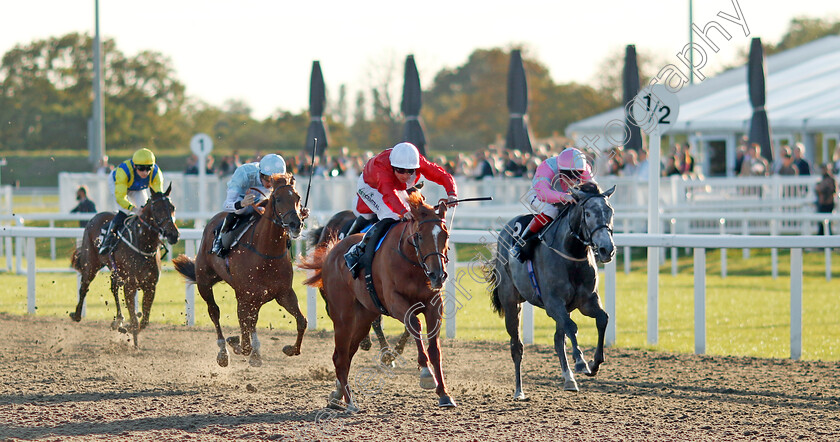 Protest-0005 
 PROTEST (Jack Mitchell) wins The Juddmonte EBF Fillies Restricted Novice Stakes
Chelmsford 3 Oct 2024 - Pic Steven Cargill / Racingfotos.com