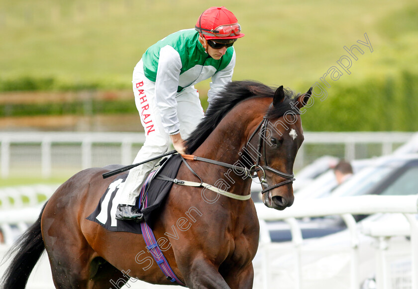 Stockypyle-0002 
 STOCKPYLE (Tom Marquand)
Goodwood 20 May 2022 - Pic Steven Cargill / Racingfotos.com