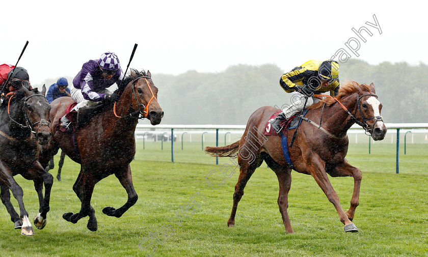 Pour-Me-A-Drink-0004 
 POUR ME A DRINK (P J McDonald) beats OUZO (2nd left) in The Betway Handicap
Haydock 27 Apr 2019 - Pic Steven Cargill / Racingfotos.com