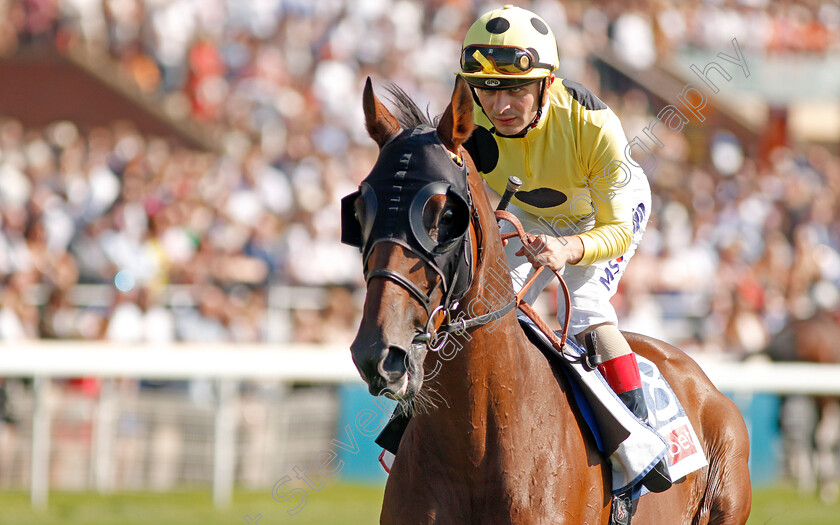 Barsanti-0001 
 BARSANTI (Andrea Atzeni)
York 24 Aug 2019 - Pic Steven Cargill / Racingfotos.com