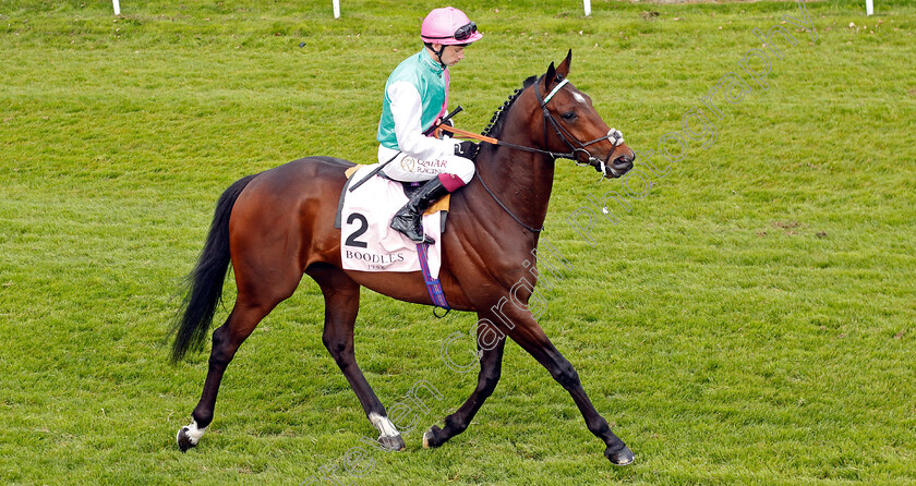 Cadogan-Place-0001 
 CADOGAN PLACE (Oisin Murphy)
Chester 8 May 2024 - Pic Steven Cargill / Racingfotos.com