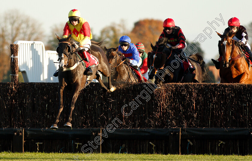 Strumble-Head-0002 
 STRUMBLE HEAD (Peter Bryan)
Kempton 21 Oct 2018 - Pic Steven Cargill / Racingfotos.com