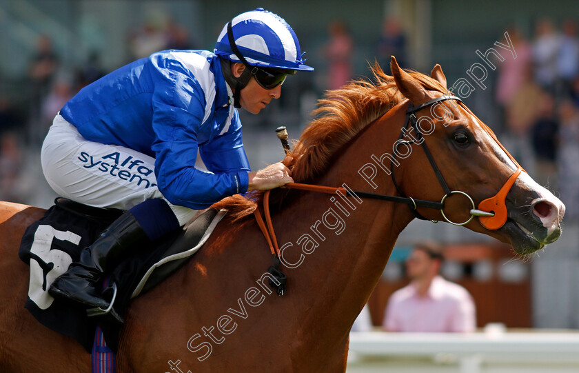 Ehraz-0007 
 EHRAZ (Jim Crowley) wins The Anders Foundation British EBF Crocker Bulteel Maiden Stakes
Ascot 23 Jul 2021 - Pic Steven Cargill / Racingfotos.com