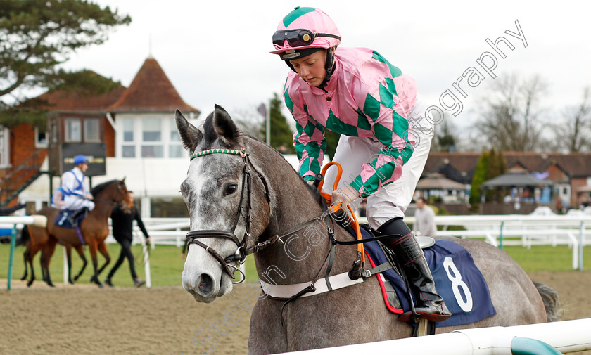 Boom-Boom-Pow-0001 
 BOOM BOOM POW (Rhiain Ingram)
Lingfield 23 Dec 2023 - Pic Steven Cargill / Racingfotos.com