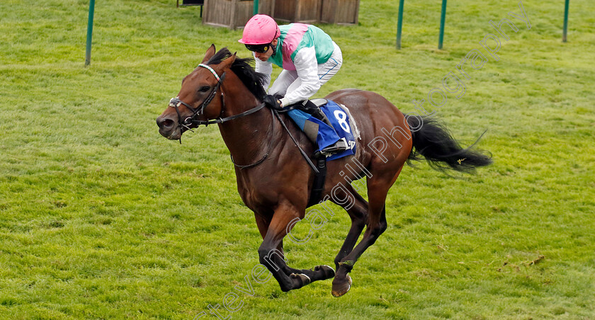 Lead-Artist-0002 
 LEAD ARTIST (Kieran Shoemark) wins The Darley Stakes
Newmarket 12 Oct 2024 - Pic Steven Cargill / Racingfotos.com