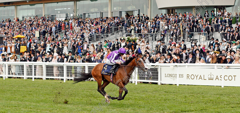 Point-Lonsdale-0002 
 POINT LONSDALE (Ryan Moore) wins The Chesham Stakes
Royal Ascot 19 Jun 2021 - Pic Steven Cargill / Racingfotos.com