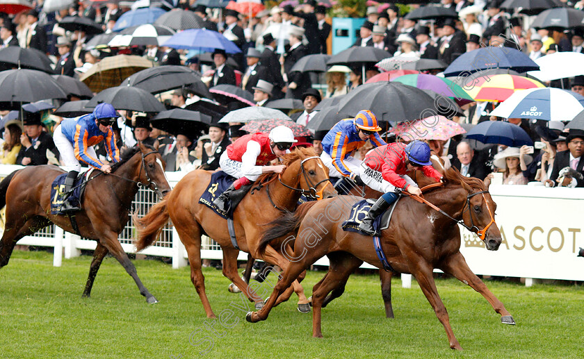 Threat-0001 
 THREAT (Tom Marquand)
Royal Ascot 18 Jun 2019 - Pic Steven Cargill / Racingfotos.com