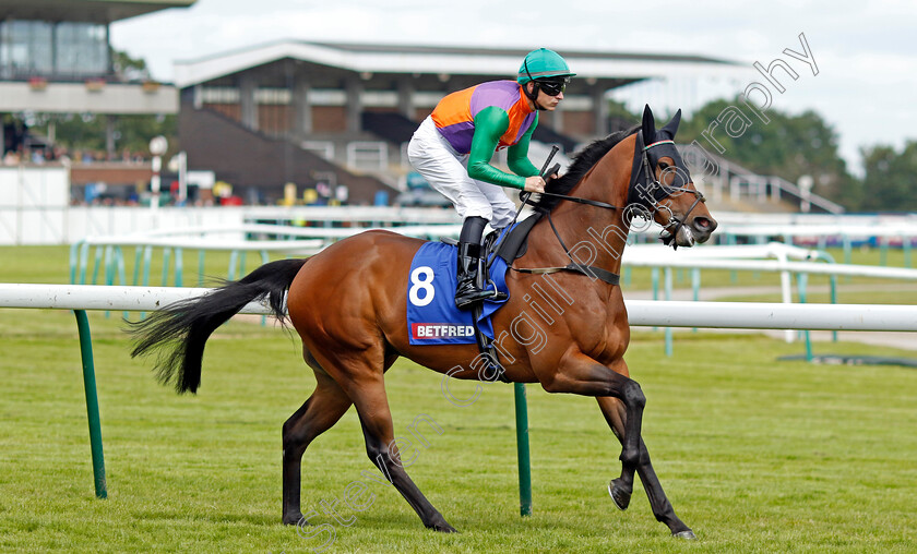 Quinault-0002 
 QUINAULT (Richard Kingscote)
Haydock 8 Jun 2024 - Pic Steven Cargill / Racingfotos.com