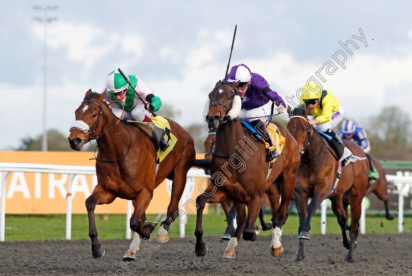 Celtic-Warrior-0005 
 CELTIC WARRIOR (left, Oisin Murphy) beats MASHADI (centre) in The Additional Maiden Stakes
Kempton 3 Apr 2024 - Pic Steven Cargill / Racingfotos.com