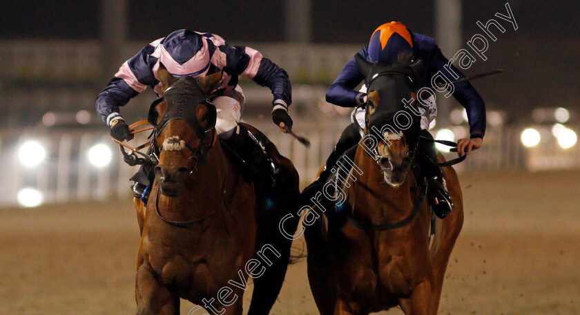 Dark-Pine-0004 
 DARK PINE (left, Rossa Ryan) beats ARIJ (right) in The chelmsfordcityracecourse.com Handicap
Chelmsford 14 Jan 2021 - Pic Steven Cargill / Racingfotos.com