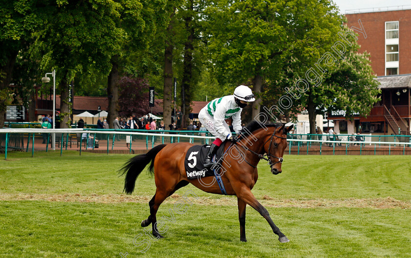 Oriental-Mystique-0001 
 ORIENTAL MYSTIQUE (Oisin Murphy)
Haydock 29 May 2021 - Pic Steven Cargill / Racingfotos.com