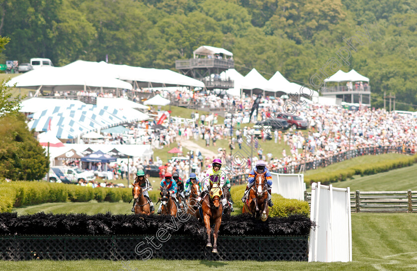 Orchestra-Leader-0001 
 ORCHESTRA LEADER (centre) leads the field in The Bright Hour Handicap Hurdle won by THREE KINGDOMS (left) at Percy Warner Park, Nashville 12 May 2018 - Pic Steven Cargill / Racingfotos.com