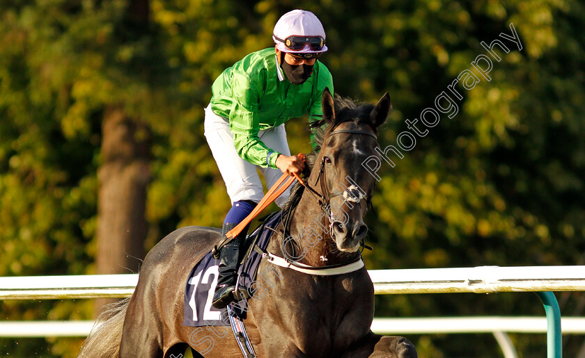 Signal-Twenty-Nine-0002 
 SIGNAL TWENTY NINE (Pierre-Louis Jamin)
Lingfield 5 Aug 2020 - Pic Steven Cargill / Racingfotos.com