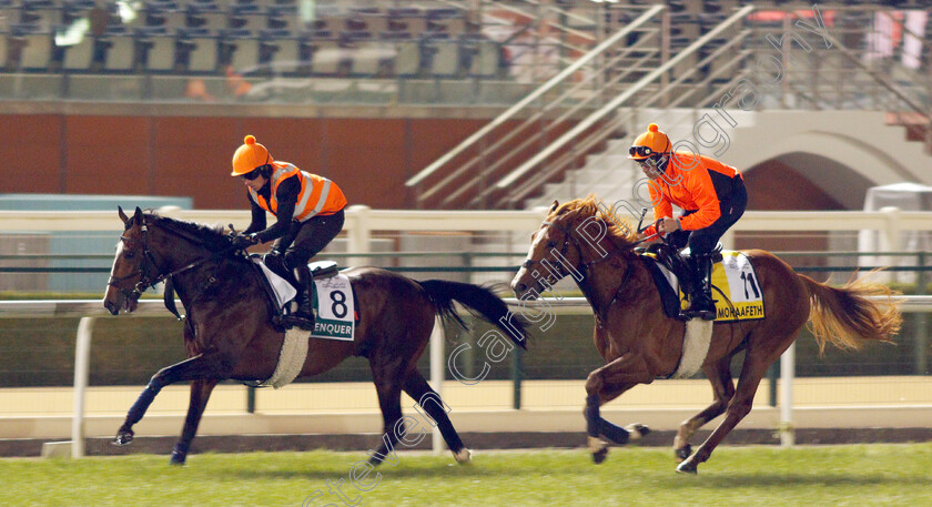 Alenquer-and-Mohaafeth-0001 
 ALENQUER (left) training for the Sheema Classic with MOHAAFETH (right) training for The Dubai Turf
Meydan, Dubai, 23 Mar 2022 - Pic Steven Cargill / Racingfotos.com