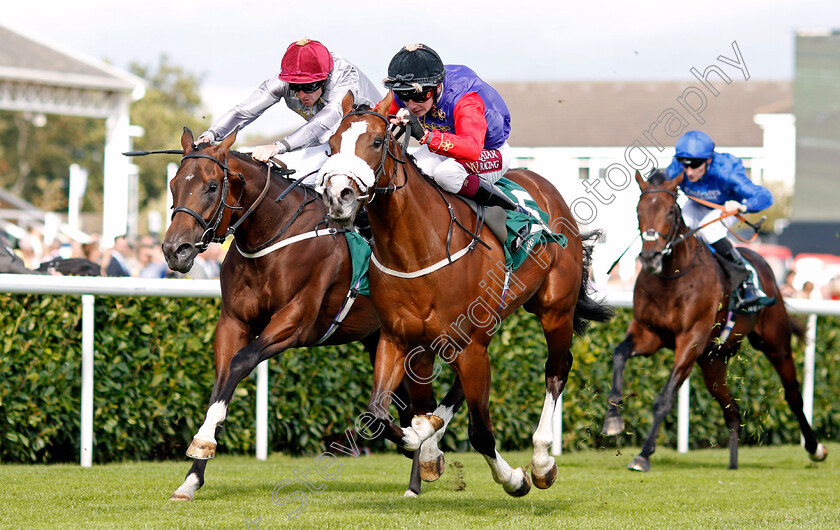 King s-Lynn-0003 
 KING'S LYNN (centre, Oisin Murphy) beats TORO STRIKE (left) in The Weatherby's Racing Bank £300,000 2-y-o Stakes
Doncaster 12 Sep 2019 - Pic Steven Cargill / Racingfotos.com