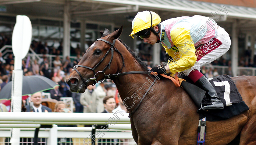 Shadn-0006 
 SHADN (Oisin Murphy) wins The Irish Thoroughbred Marketing Rose Bowl Stakes
Newbury 19 Jul 2019 - Pic Steven Cargill / Racingfotos.com