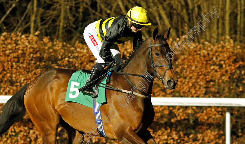 Home-City-0002 
 HOME CITY (Saffie Osborne)
Kempton 14 Feb 2024 - Pic Steven Cargill / Racingfotos.com