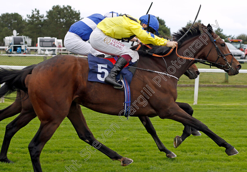 Coco-Royale-0004 
 COCO ROYALE (Cieren Fallon) wins The Stream Racing At Bresbet.com Handicap
Yarmouth 16 Oct 2023 - Pic Steven Cargill / Racingfotos.com