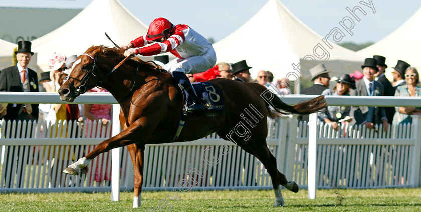 Hand-Of-God-0003 
 HAND OF GOD (William Buick) wins The Golden Gates Stakes
Royal Ascot 22 Jun 2024 - Pic Steven Cargill / Racingfotos.com