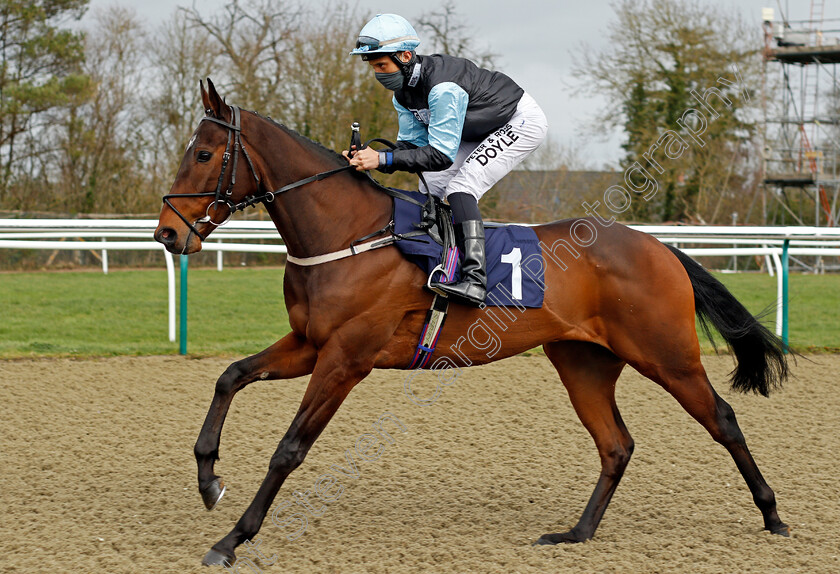 Mount-Mayon-0001 
 MOUNT MAYON (Sean Levey)
Lingfield 19 Feb 2021 - Pic Steven Cargill / Racingfotos.com