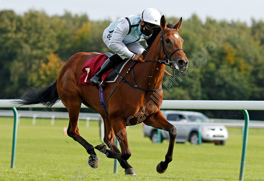 Teodolina-0003 
 TEODOLINA (Sean Levey) wins The Betfair Exchange Free Bet Streak EBF Fillies Novice Stakes
Haydock 4 Sep 2020 - Pic Steven Cargill / Racingfotos.com