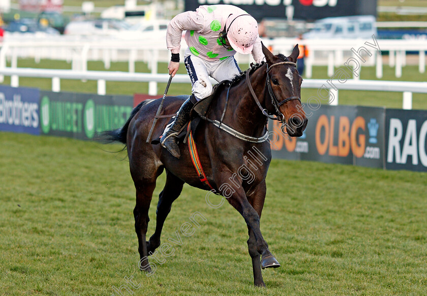 Benie-Des-Dieux-0004 
 BENIE DES DIEUX (Ruby Walsh) wins The OLBG Mares Hurdle Cheltenham 13 Mar 2018 - Pic Steven Cargill / Racingfotos.com