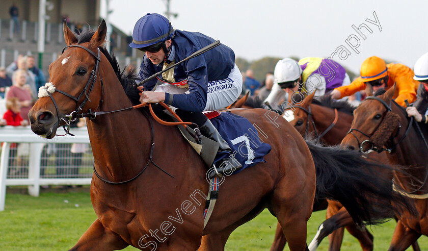 Pillars-Of-Earth-0005 
 PILLARS OF EARTH (Jack Mitchell) wins The Cazoo Handicap
Yarmouth 19 Oct 2021 - Pic Steven Cargill / Racingfotos.com