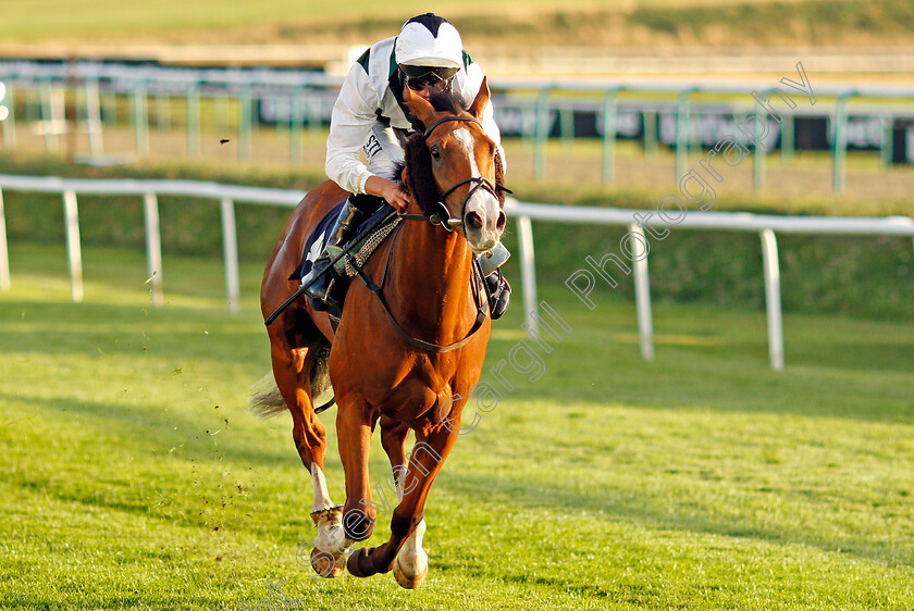 Gordonstoun-0003 
 GORDONSTOUN (Luke Morris) wins The Betway Nursery
Lingfield 26 Aug 2020 - Pic Steven Cargill / Racingfotos.com