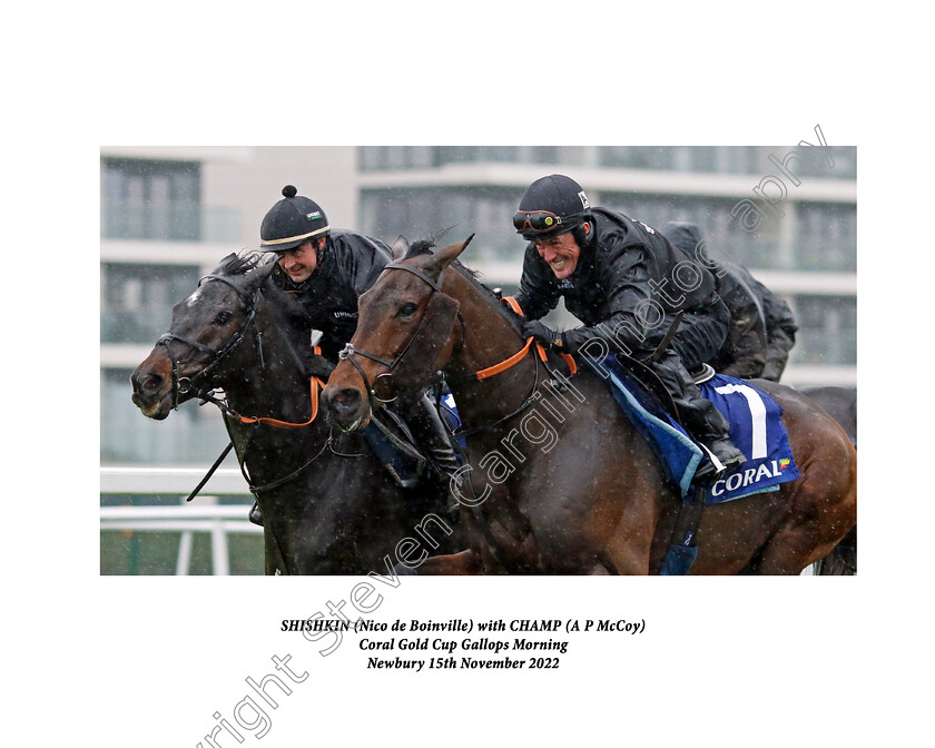 Champ-and-Shishkin-0002X 
 CHAMP (right, A P McCoy) and SHISHKIN (left, Nico de Boinville) at Coral Gold Cup Weekend Gallops Morning
Newbury 15 Nov 2022 - Pic Steven Cargill / Racingfotos.com