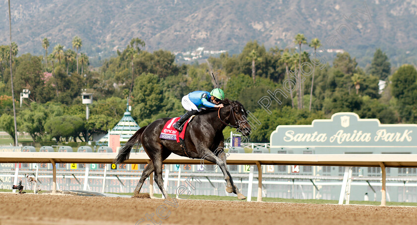 Goodnight-Olive-0002 
 GOODNIGHT OLIVE (Irad Ortiz) wins The Breeders' Cup Filly & Mare Sprint
Santa Anita 4 Nov 2023 - Pic Steven Cargill / Racingfotos.com