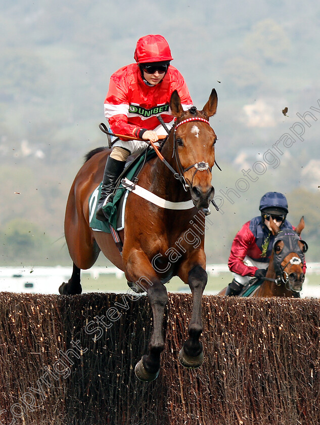 Darius-Des-Bois-0001 
 DARIUS DES BOIS (Sean Bowen)
Cheltenham 17 Apr 2019 - Pic Steven Cargill / Racingfotos.com