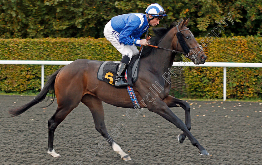 Mushahadaat-0001 
 MUSHAHADAAT (Dane O'Neill) winner of The 32Red.com British Stallion Studs EBF Maiden Fillies Stakes Div1 Kempton 4 Oct 2017 - Pic Steven Cargill / Racingfotos.com